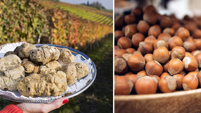 Lokala specialiteter: tryffel och hasselntter